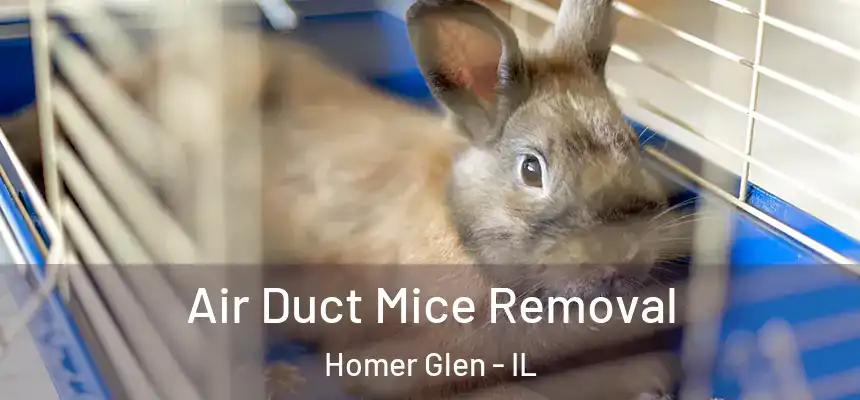  Air Duct Mice Removal Homer Glen - IL