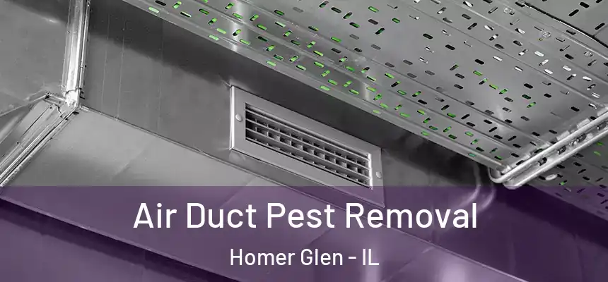 Air Duct Pest Removal Homer Glen - IL