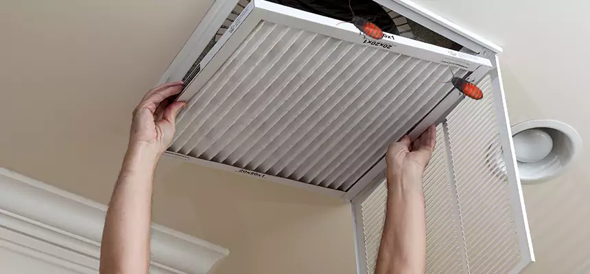 Preventive Cockroach-Proofing for Ducts in Homer Glen