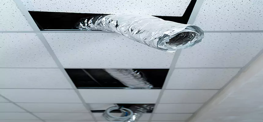 Our Air Duct Pet Hair Removal Services in Homer Glen, IL