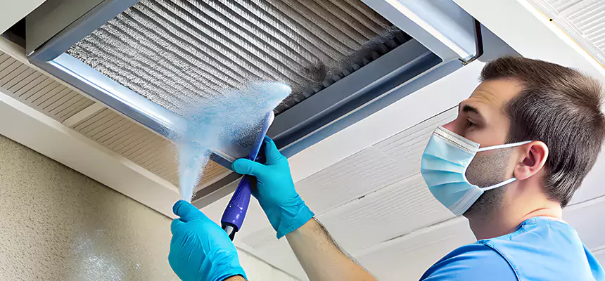 Proactive Dryer Vent & Auxiliary Duct Pollen Cleanup in Homer Glen, IL