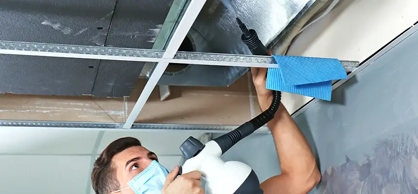Our Air Duct Rodent Removal Services in Homer Glen, IL