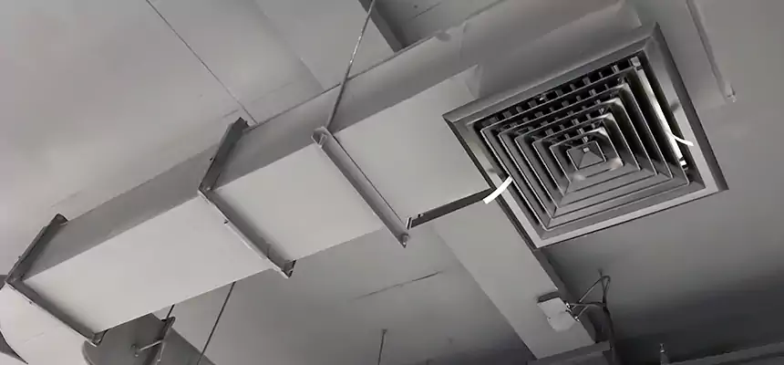 Restorative Allergy Relief Vent Cleaning – Coil, Blower & Housing Detail in Homer Glen