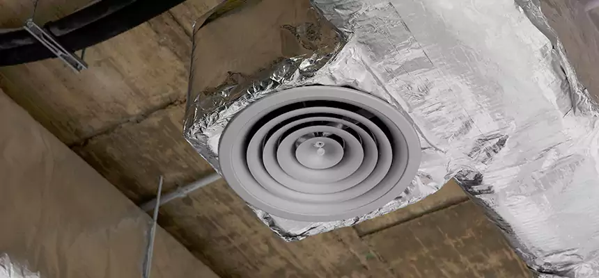 Our Excess Lint Removal from Dryer Ducts Services in Homer Glen, IL
