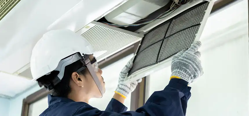 Our Lint Trap Cleaning Service Services in Homer Glen, IL