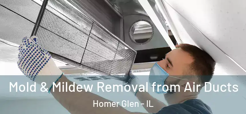 Mold & Mildew Removal from Air Ducts Homer Glen - IL
