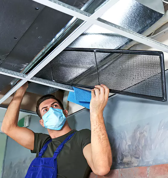 About Air Duct Bacteria Removal in Homer Glen