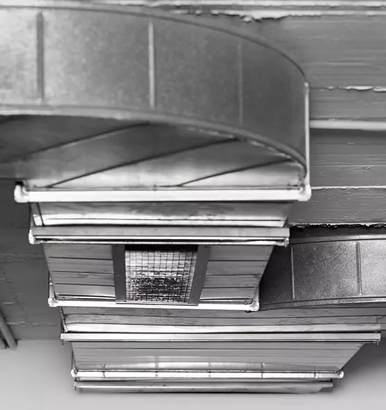 Professional Air Duct Pet Hair Removal in Homer Glen, IL