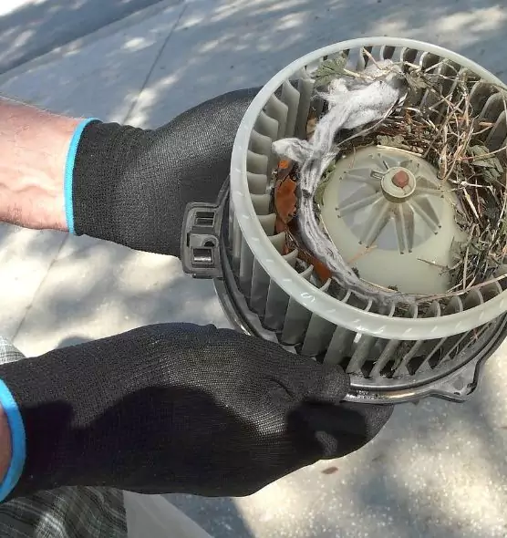 About Air Duct Rat Removal in Homer Glen, IL