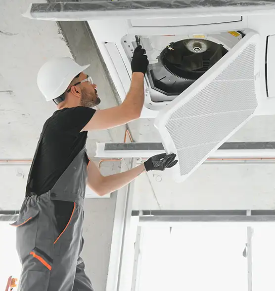 About Air Duct Rodent Removal in Homer Glen, IL