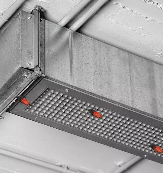 Affordable Insect Removal from Air Ducts in Homer Glen, IL