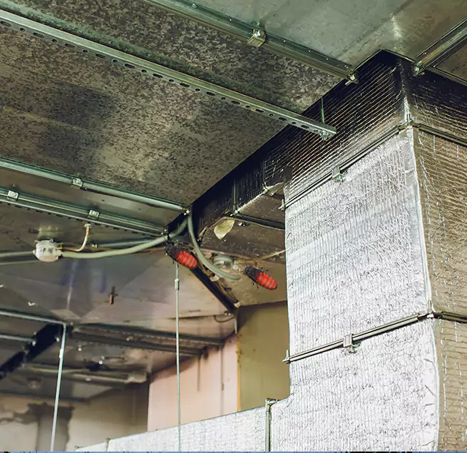 Why Homeowners & Businesses Trust Us in Homer Glen, IL?